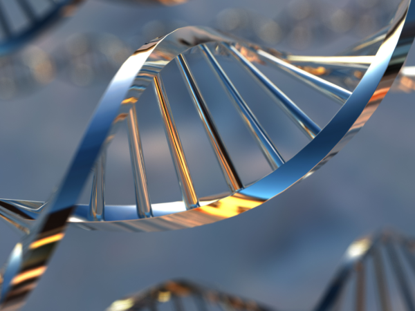 Copia de Genética o estilo de vida